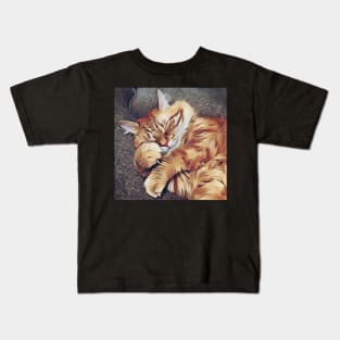 Cat test Kids T-Shirt